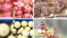 Exotic fruits tickling local tastebuds, economy 