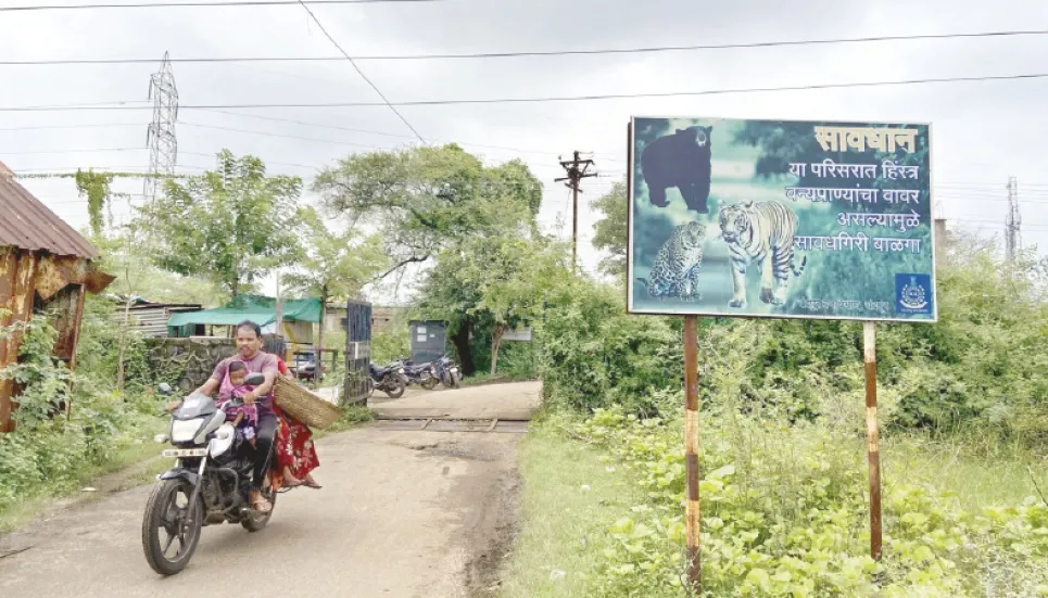 Indian coal mining hub brings new dangers for villagers 