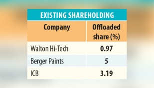 Walton, Berger, ICB told to offload more shares 