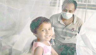 Dengue: 319 more hospitalised in 24 hrs, no fresh death 