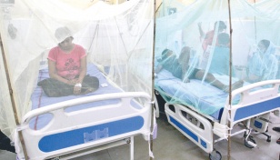 Dengue suspectedly killed dozens in UP 