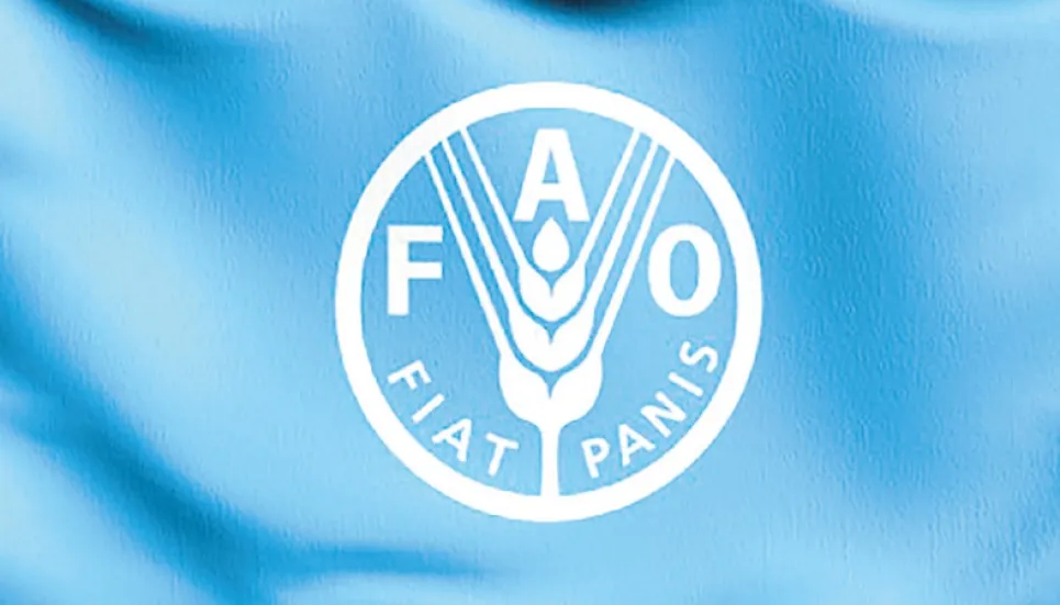 FAO seeks $36m to save agriculture in Afghanistan 