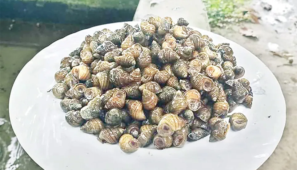 Snail-based alternative fish feed to halve fish production costs 