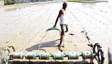 Low-cost drum seeder tech getting popular in Sherpur 