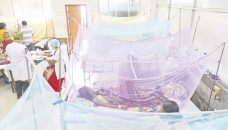 2 more die, 232 new dengue patients hospitalised 