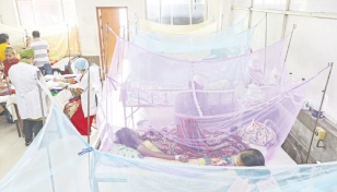 2 more die, 232 new dengue patients hospitalised 