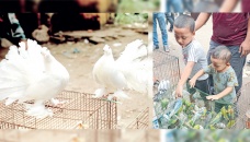 Makeshift market that caters to bird lovers 