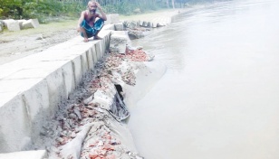 Flood damages crops, embankment 