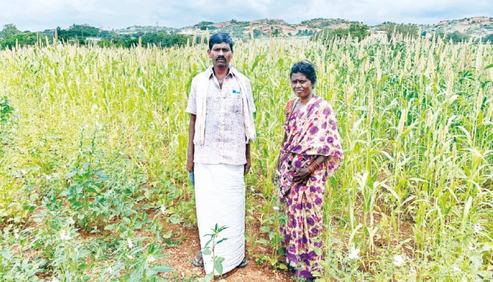 In Indian mining hub, farmers bring polluted land back to life 