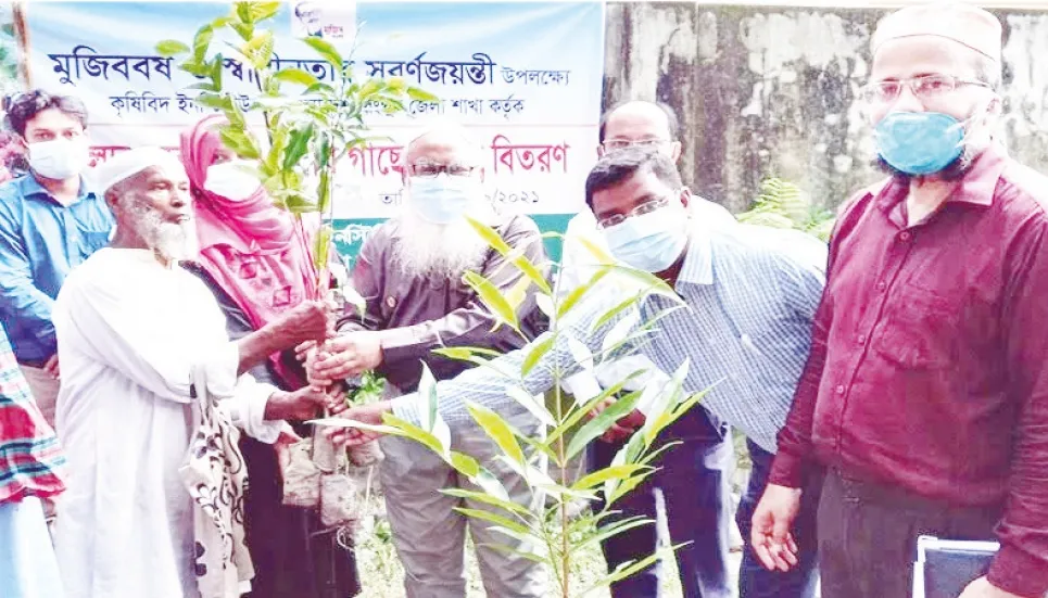 Bangladesh achieves enviable success in agriculture 