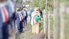 PM plants sapling at UN Gardens