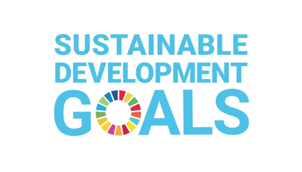 Sustainable development at local level 