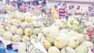 Growers in Rajshahi sell mango worth Tk 87cr this season 