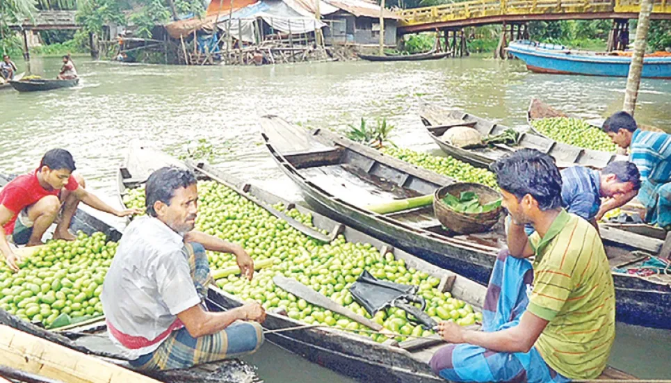 Barishal lemon cultivation proves profitable 