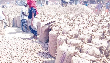 Falling prices of potato worry farmers in Chapainawabganj 