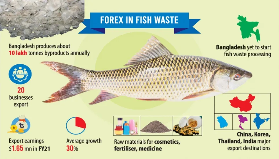 Fish waste: From rubbish to valuable raw materials 