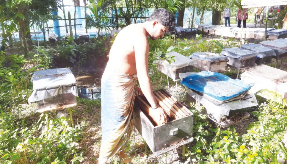 Profit flows as honey from water lily gains popularity 