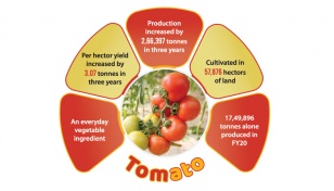 Big demand spurs growers to go after tomato 