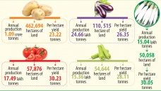 Five vegetables make up 62% of total production 