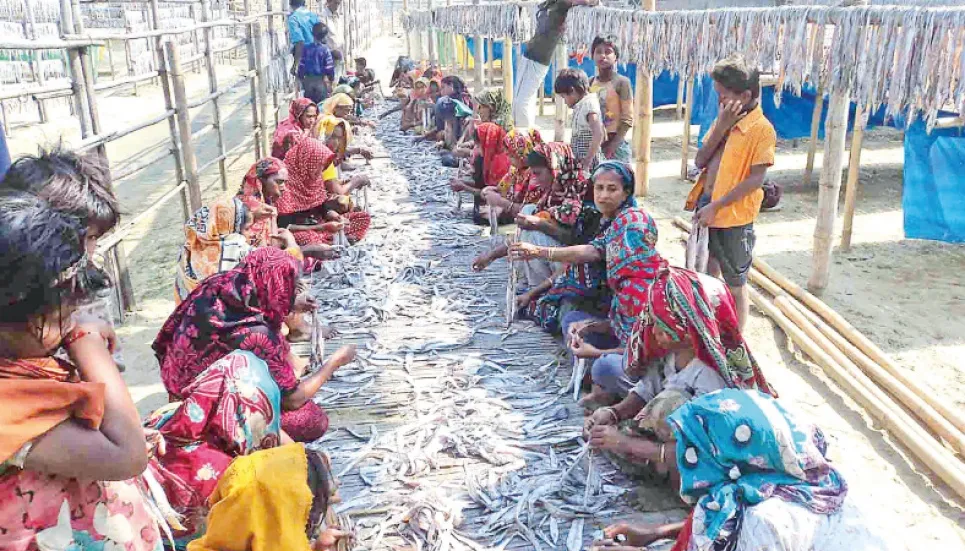 Dried fish trade resumes as Covid improves 