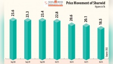 Shurwid Industries share takes hit 