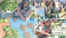 Scratching a living from vegetable waste 