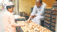 Egg consumption rises, hits 121.18 per capita 