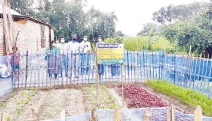 Homestead gardening boosting Rajshahi economy 