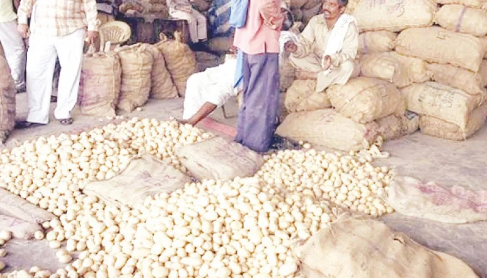 Potato price slump worries farmers 