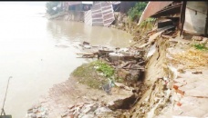 Madhumati River erosion worsens 