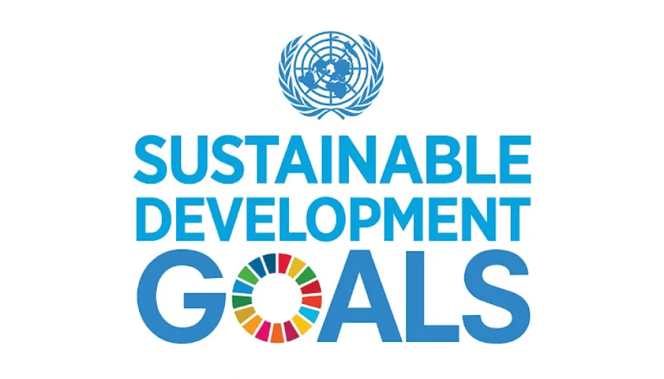 Sustainable Development Goals and the virus fallout 