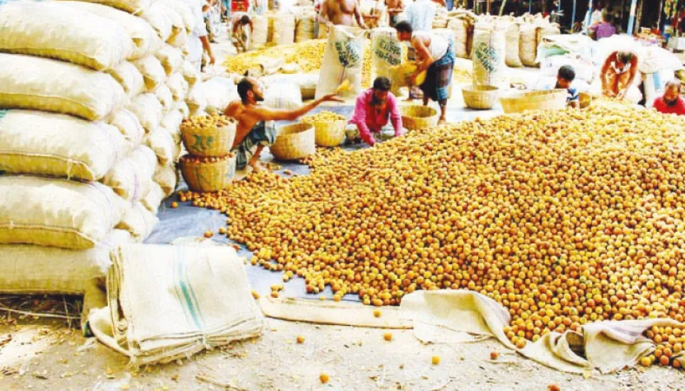 Bumper betel nut production promises profit 