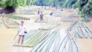 Livelihood from bamboo trading in CHT 