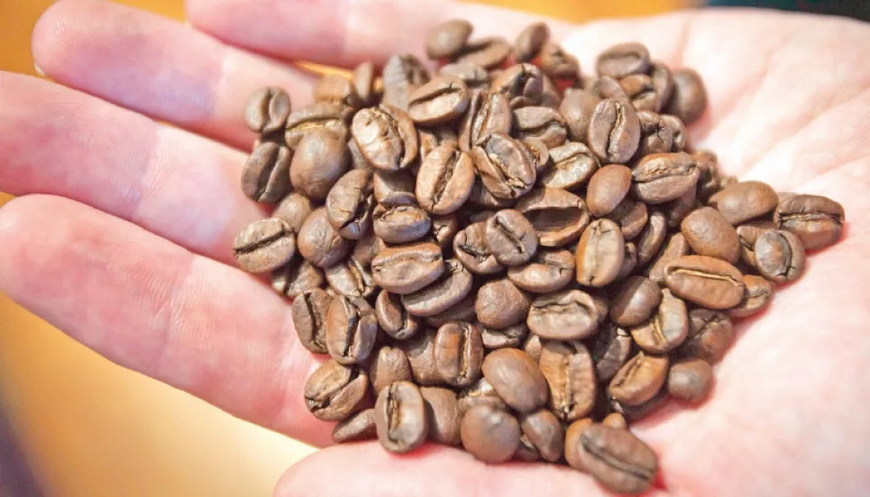 Shipping disruptions to keep coffee prices high for longer 