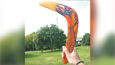 Boomerang is a work of art 