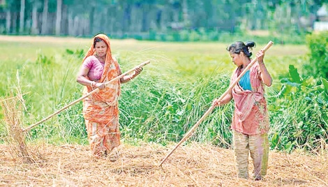 State of informal finance in rural Bangladesh 