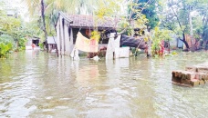 Persistent rain floods parts of Satkhira 