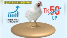 Farm chicken prices jump Tk50 in a month 