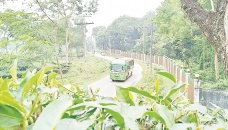 Bus travel packages to boost tourism in Moulvibazar 