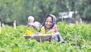 Bangladesh, WB sign $120m financing deal for climate-smart farming