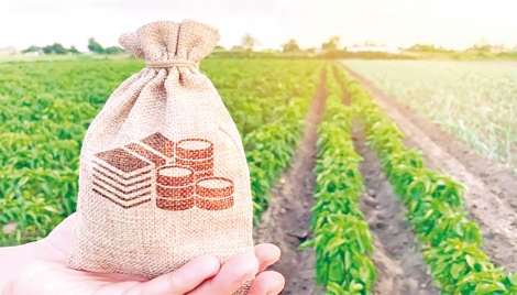 The importance of Commodity Exchanges for farmers