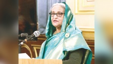 Grab investment opportunities in Bangladesh: PM to UK investors 