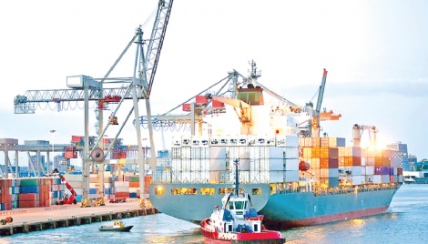 Three ships to leave port today without full export consignment 