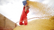 Big US, Brazil harvests and slowing China demand ease some crop shortage fears 