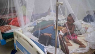 Dengue: 103 more hospitalised in Bangladesh