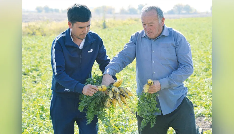 Extreme weather costly for Uzbek plov dish