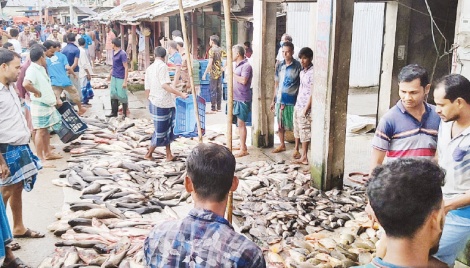 Two-hour fish market sells crores of Taka daily 