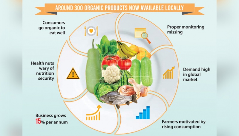 OGMO Foods Overview  SignalHire Company Profile