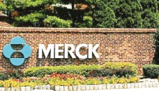 Merck pill can prevent grave Covid-19 infections 