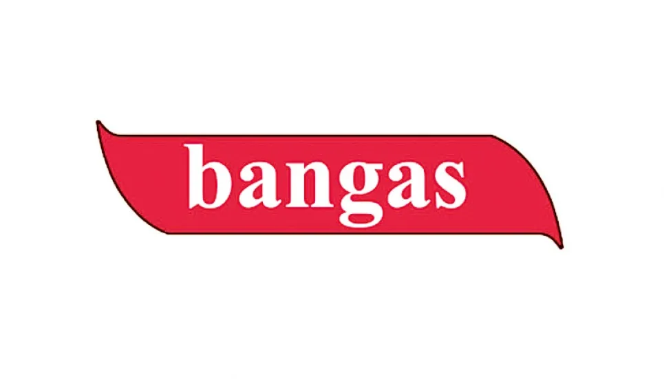 Bangas returns to profit in Q1 